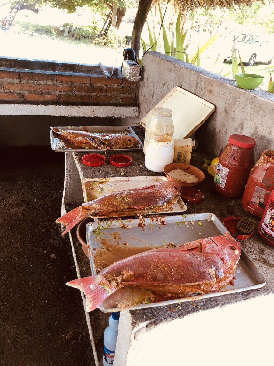 alexfinerooster's tweet photo. Hoy Excursión a #BarraVieja para @sntssoficial Durante Su LVXXIV Reunión Del Concejo Nacional Ordinario  Celebrándose En el Puerto De #Acapulco  @JOANRIVIAJES  #DejateGuiarPorAcapulco  #LocalExpertAcapulco https://t.co/1VotlWQYW4