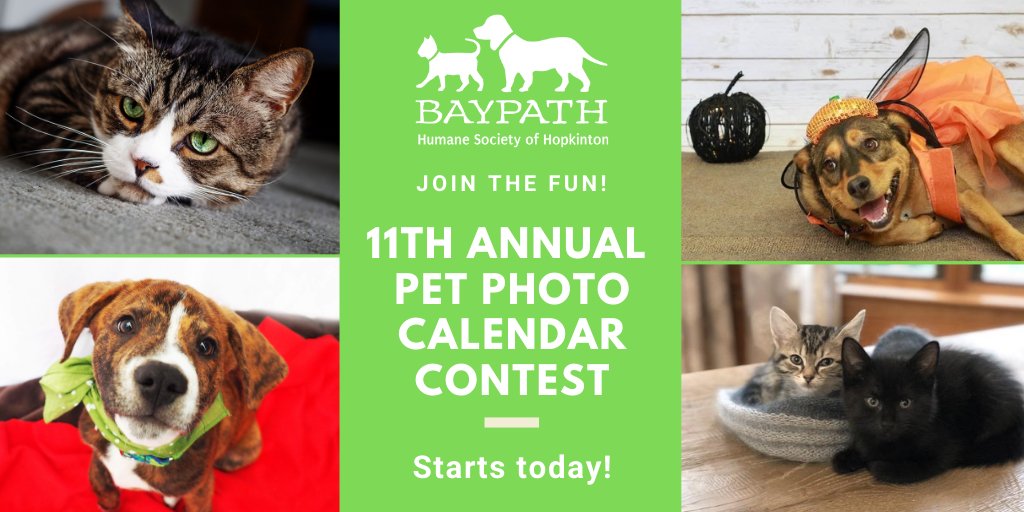 Want a super easy way to support Baypath... and tell the world how adorable your pet is? The 11th Annual Baypath Pet Photo Calendar Contest is underway with free entry and costs only $1 per vote (5-vote min.). my.360photocontest.com/baypathhumane