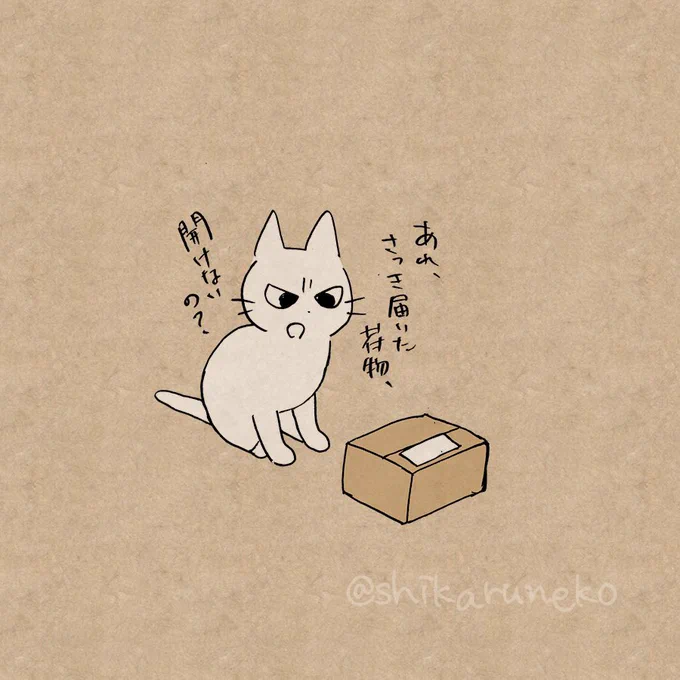 届いた荷物を開けずに放置する人を叱ってくれる猫 