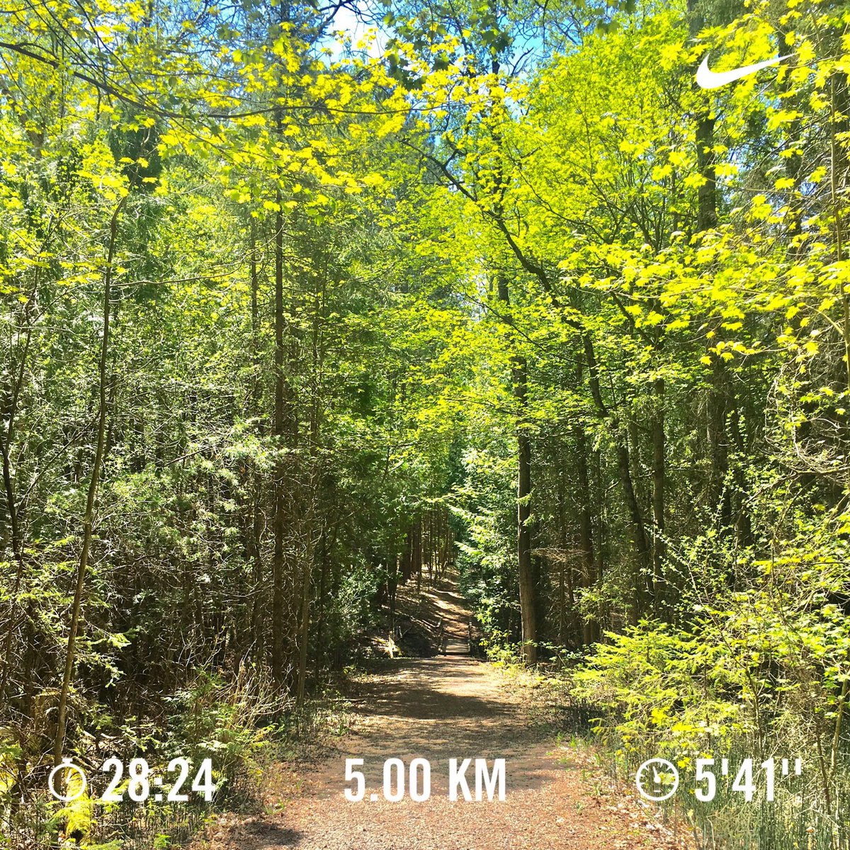 DanielPGerald's tweet photo. Day 136. Tuesday Morning Run.
Please sponsor me for the 2020 Terry Fox Run.
https://t.co/DaJhc5TrVS

New personal bests and sub 30’ club:
1 km 05’03”
1 mi 08’31”
5 km 28’19”

Photography by @DanielPGerald

#TerryFox #Day136Runstreak #NRC #InnerPeaceSanctuary  #signMAPS🏃 https://t.co/rI1DBiIOXm