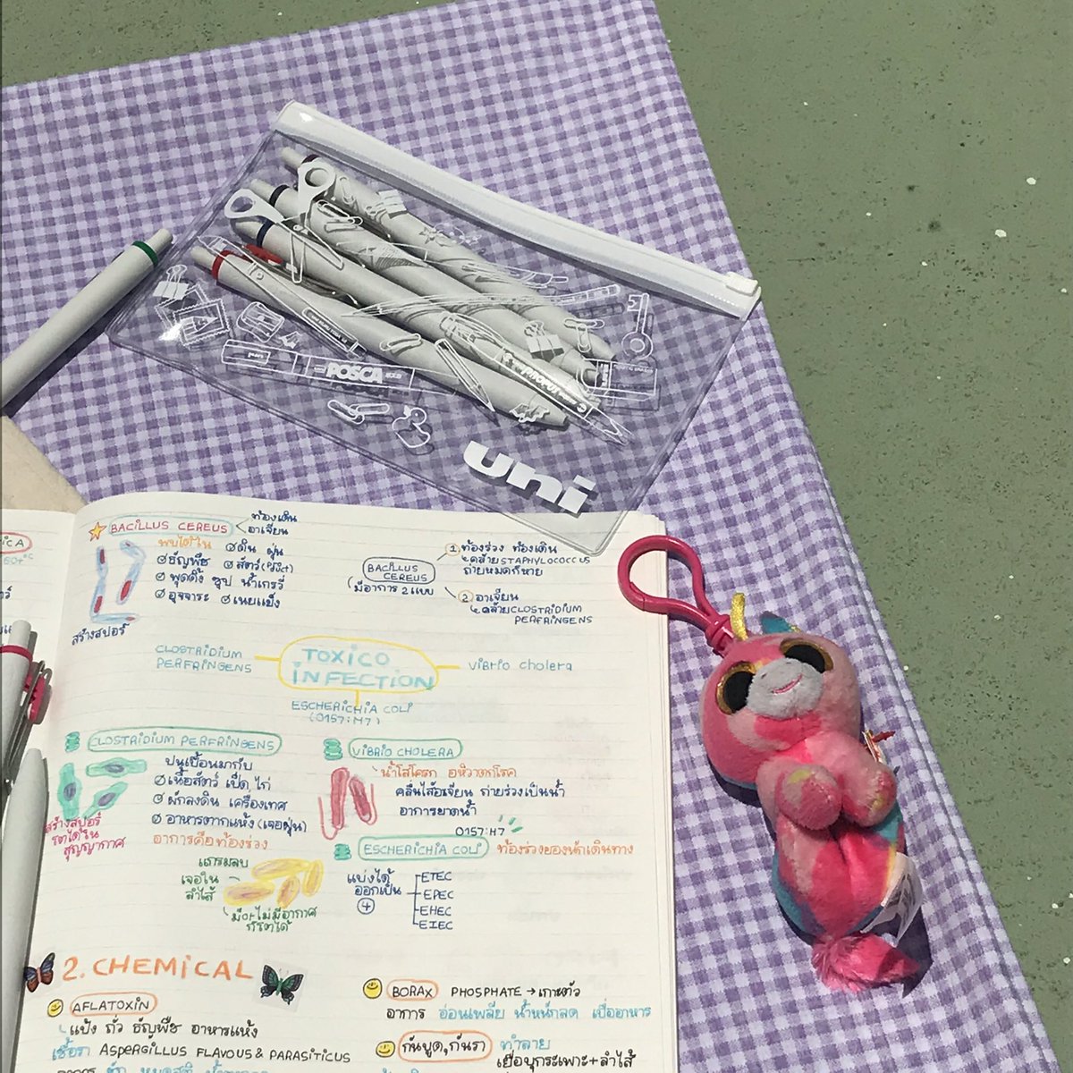 👀✨ มิดเทอมตัวสุดท้ายได้จบลงไปแล้วค้าบ ปุ้งๆๆๆ 🤩 พาน้องเลคเชอร์ฟู้ดแซนออกมาถ่ายรูปเล่นที่ดาดฟ้าหอมา ˗ˏˋ🍊แดดแรงโฮก🌞🦋