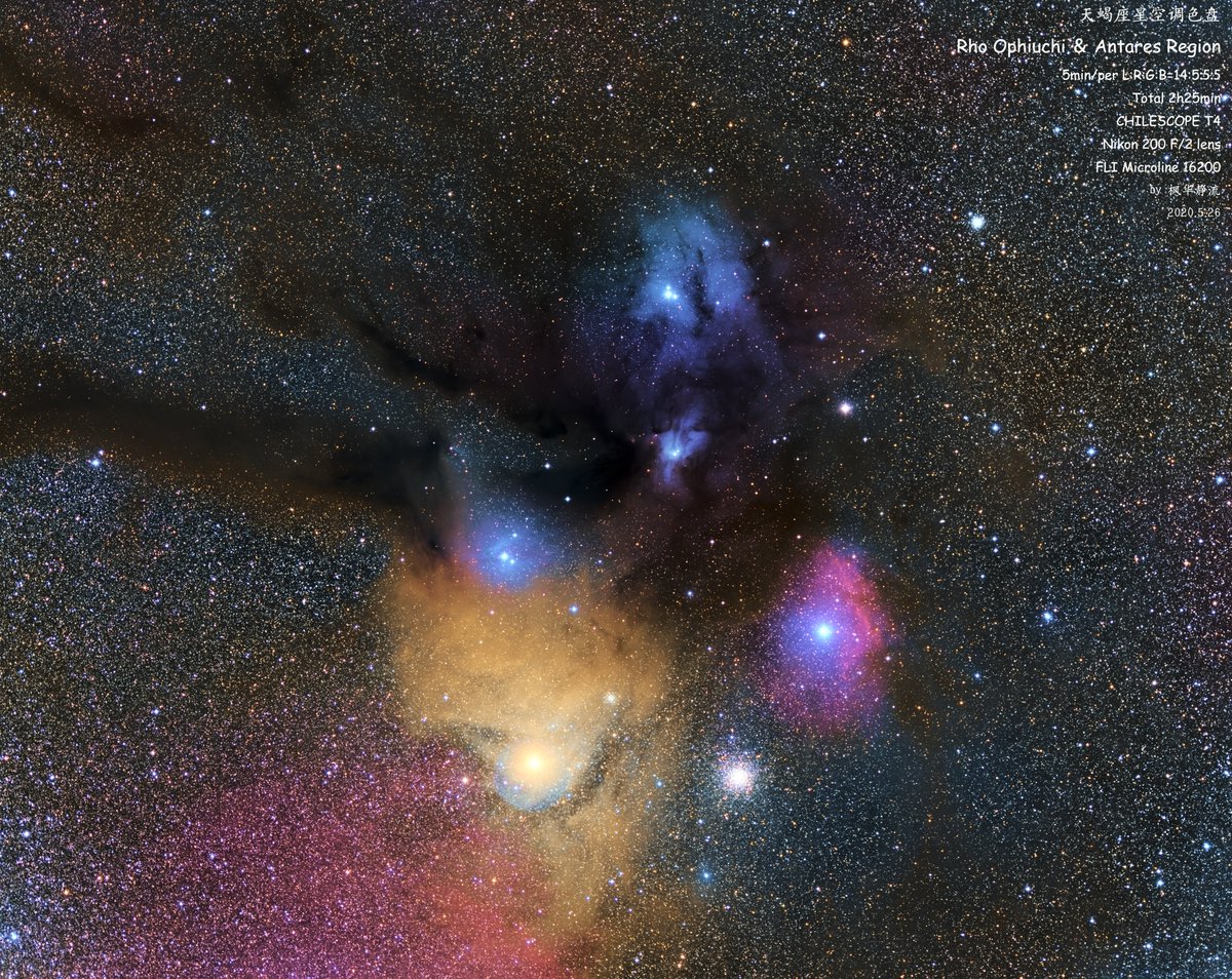 KaedekaShizuru's tweet photo. #CHILESCOPE T4
Rho Ophiuchi ＆ Antares Region
5min/per L:R:G:B=14:5:5:5
Total 2h25min
Nikon 200 F/2 lens
FLI Microline 16200

#CHILESCOPE T3
NGC3372 Carina Nebula
10min/per SⅡ:Hα:OⅢ=4:3:4
Total 1h50min
ASA 500
FLI PROLINE 16803

post-production by me https://t.co/Fnk3ccOzjv