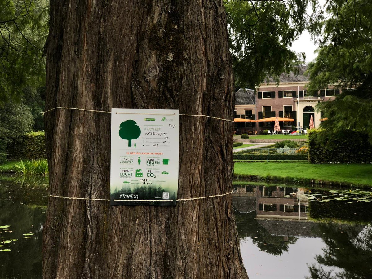 milieucentrum's tweet photo. De Stichting @droomendaad plaatst (tijdelijke) #treetags in Het Park bij de @Euromast010. Een leuke actie tijdens de #Parkenmaand010! De tags vertellen meer over wat een boom doet voor ons #milieu. September in Het (Zocher)Park. https://t.co/gWxSjexT8P