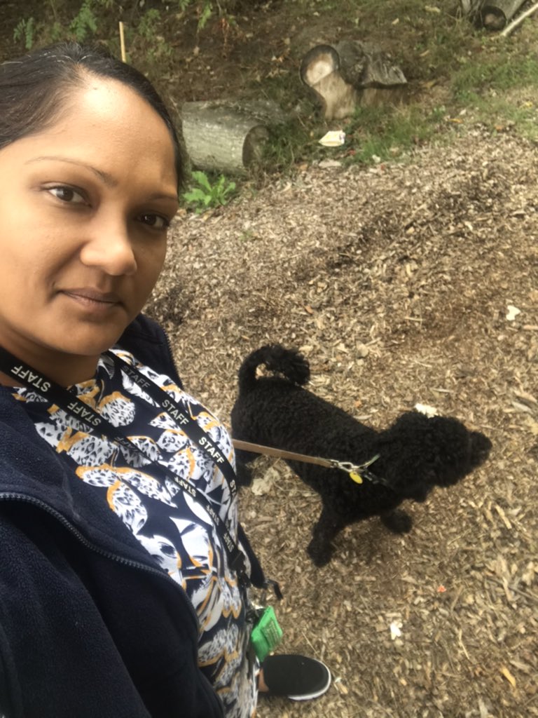 MrsEveTA's tweet photo. Willow has great fun at forest school with year 1 today ❤️ #willow #walkingthedog #kidsandanimals #freshair #lotsofrunning @MissStupples @malhi_mrs @wbpenvirosci https://t.co/o5GsHvfDq3