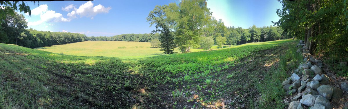 WarehamWater's tweet image. Nothing more enjoyable to see than fall corn, even during a drought season! (Picture location on Merrimac River).