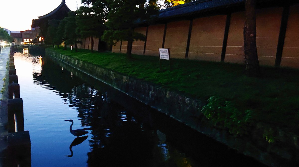 YOGODECO's tweet photo. どんな美しいものでも通勤ルートに存在しているというだけで、だんだんと嫌いになっていく説 https://t.co/ansG6LxK6Z