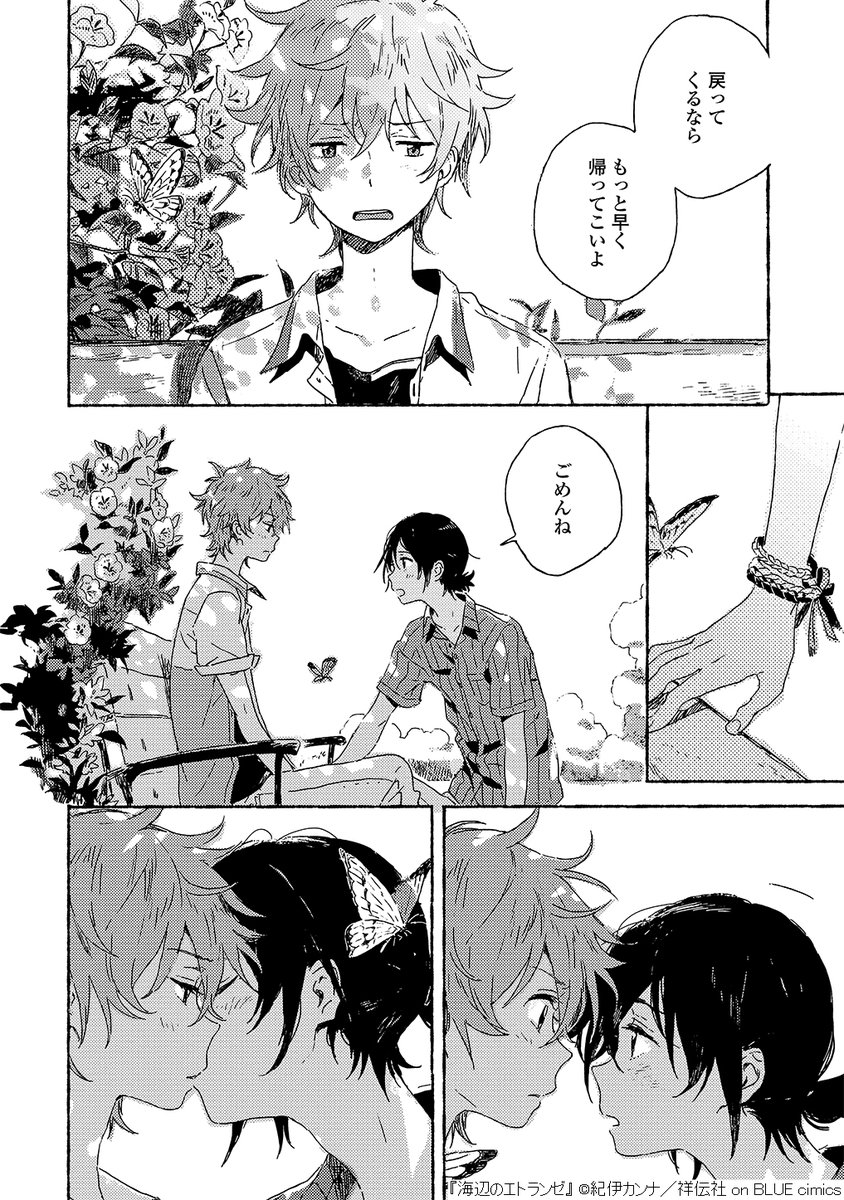 『海辺のエトランゼ』/紀伊カンナ(11/12) 