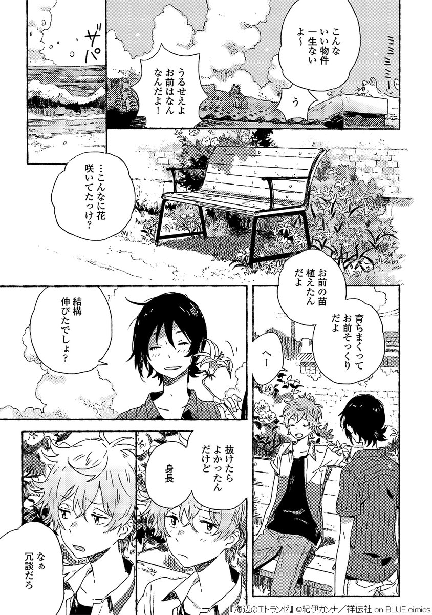 『海辺のエトランゼ』/紀伊カンナ(11/12) 