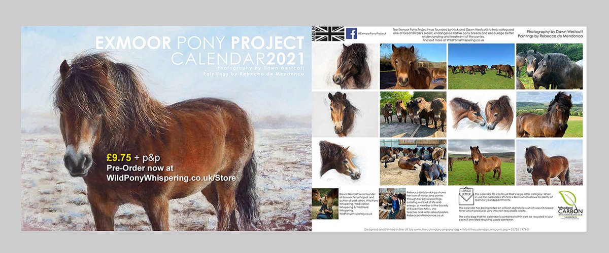 ExmoorPonyClub's tweet photo. It's here! The gorgeous 2021 #ExmoorPonyProject #Calendar featuring beautiful paintings by artist #RebeccaDeMendonca &amp; photographs. A #fundraiser for the #ExmoorPonies A4 landscape £9.75 +p&amp;p at https://t.co/WoxhIKMchD Please buy loads &amp; #retweet Thank you! 😃👍 https://t.co/y2yNArhl8h