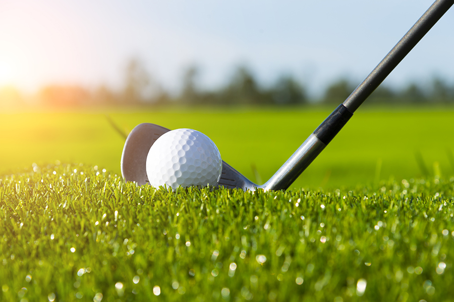 Golf Gestion y Formación tweet media