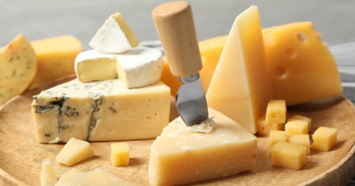 _crislaa's tweet photo. como no os puede gustar el queso???????? https://t.co/bYGlAg7A56
