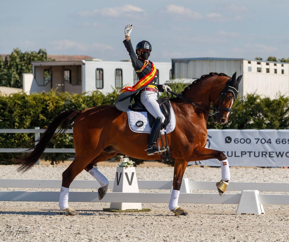 BiguesiRiells's tweet photo. 🥳 La biguetana, Cristina Wagemans Rovira, guanya el Campionat d’Espanya de Menors de Doma Clàssica 
👉 https://t.co/cIwSdSiLWb
#campionatEspanya #domaclassica #menors 
#BiguesiRiells #felicitats #orgulllocal https://t.co/5ybDO6tE1Y