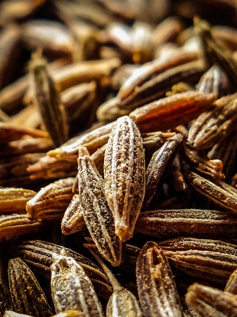 KartikRGaikwad1's tweet photo. Jeera shot📸📸📸📸
.
.
Shot on @Vivo_India 
.
.
#mobilephotography #MacroMonday #macrophotography #macro #official_photographer_hub #wadacommunity
.
.
.
@AudiPhotography @roshagulla16 @haram_khor_ @wadacommunity @nayanmarathe10 @NavalMahadik @mohitnaikade @framo_grapher https://t.co/T42uStNaJ1