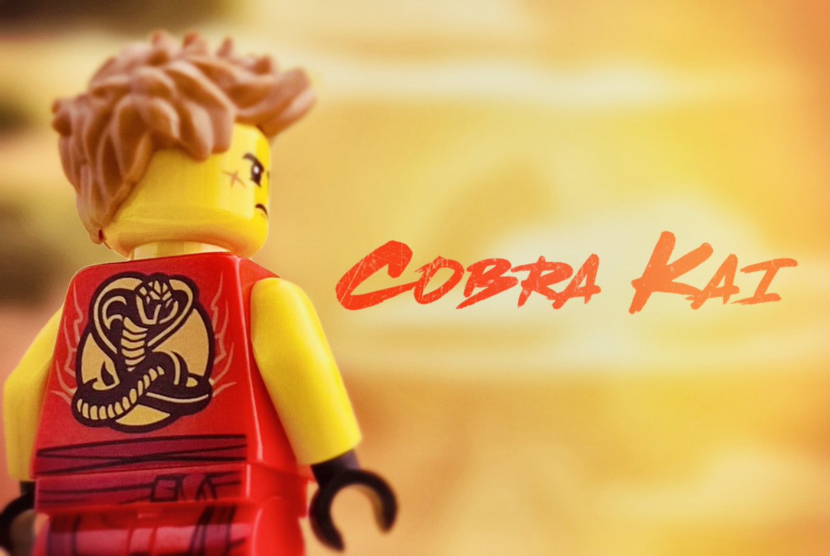 lego karate kid