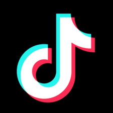 ShawlandsPS's tweet photo. In case you're not aware, TikTok are struggling to remove a very upsetting video today as many people are uploading it disguised as an animal video or other child-friendly content.  Please be vigilant especially if your child becomes aware of this video. https://t.co/sY6rOHyxfr