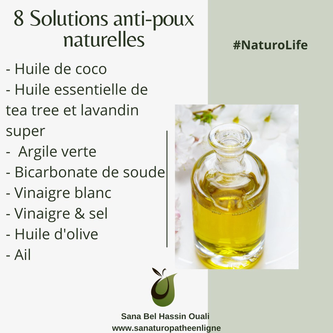 sana_Naturo's tweet photo. 8 Solutions anti-poux naturelles
4 lettres qui font la hantise de tous les parents ! Si la prévention n'est pas facile avec de jeunes enfants, des solutions naturelles existent pour venir à bout de ces parasites ! https://t.co/VcEz1MJZSC
#antipoux #antipouxnaturel #naturopathie https://t.co/TesEybkgHB