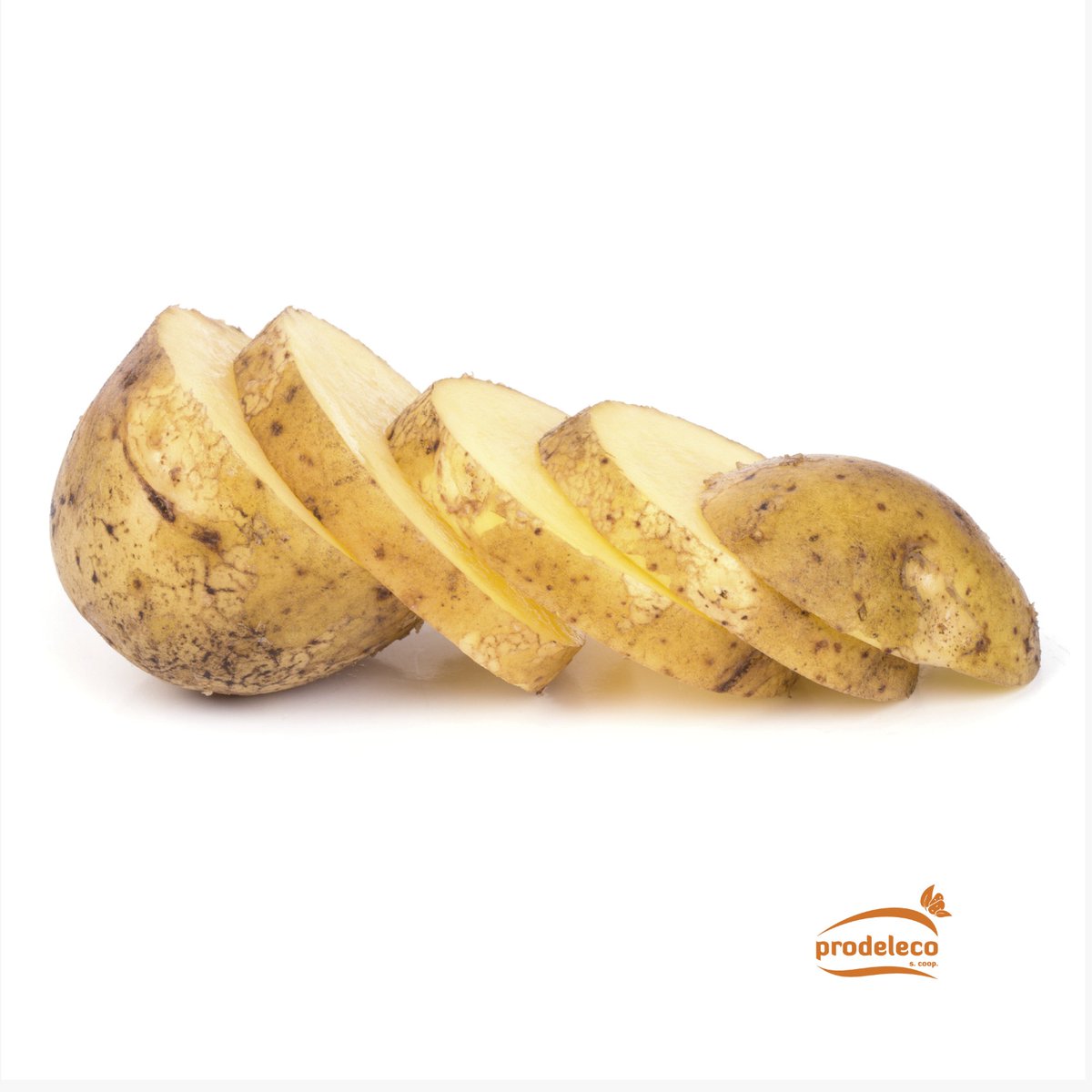 prodeleco's tweet photo. ¿Cuantos cortes distintos de patatas conoces?
¿Cuál es tu preferido?
1. #PATATA ESPAÑOLA
2. PATATAS PAJA 
3. PATATAS GAJO
4. PATATAS EN BASTÓN
5. PATATAS CHIPS
7. PATATAS DADOS
9. PATATAS PANADERA
10. PATATAS CHASCADAS 
11. PONT NEUF
13. PATATAS EN ESPIRAL
14. PATATA TORNEADA https://t.co/fx6X8papbe