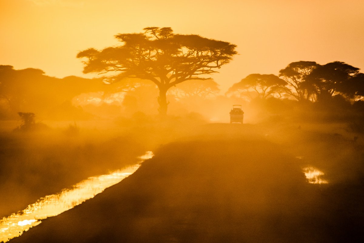 South Africans may soon travel within the continent as the COVID-19 infection rate continues to decrease. Government is considering creating travel bubbles with African countries of similar risk levels. bit.ly/2DCbkAa