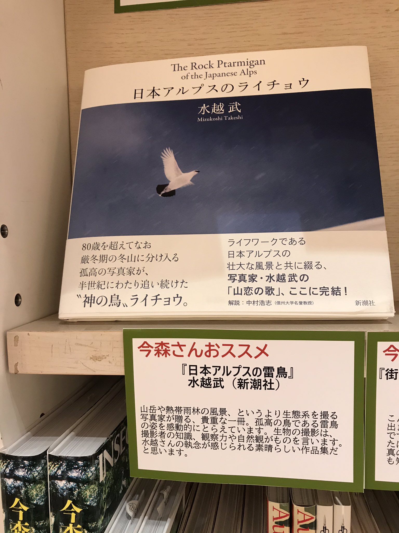 丸善丸の内本店 Auf Twitter 3f児童書 フェアの開催期間中 今森さんと舘野さんの推薦文をお届けします 第7回目はこの2冊 いまを生き抜くアイディア 生き物に学ぶ新しい生活様式