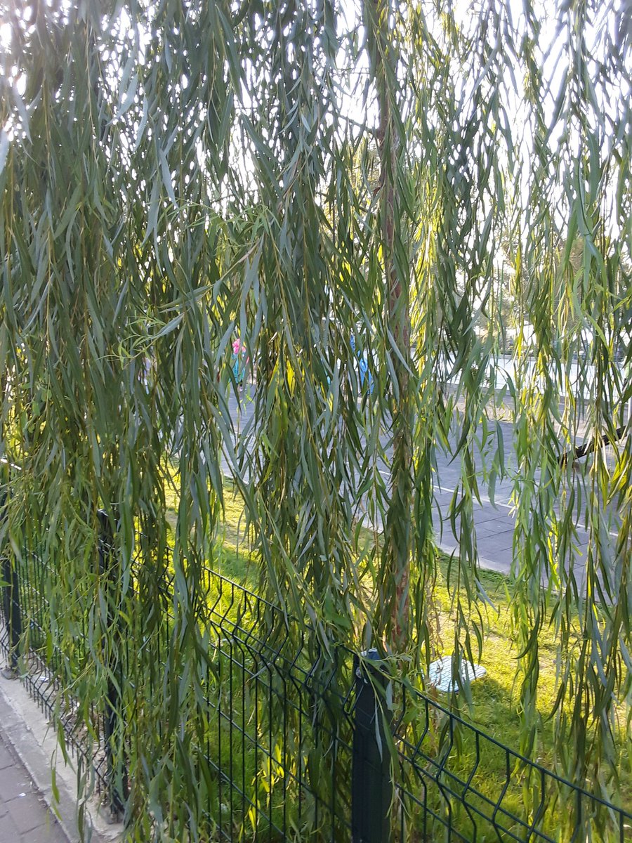 Günaydın🚶🚶🚶