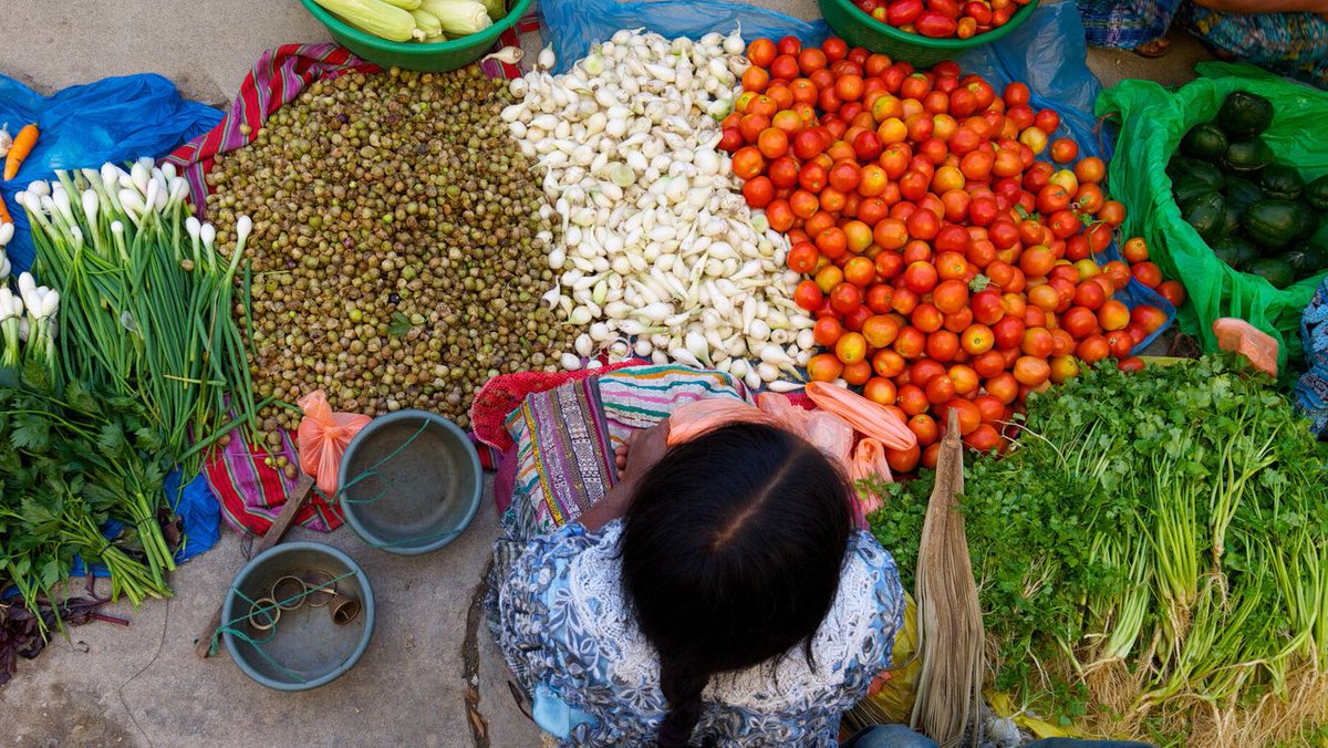 IFAD's tweet photo. Investing in agriculture to improve nutrition is not only socially responsible, it is sound development policy and good economics. https://t.co/3R9vbIRu24
