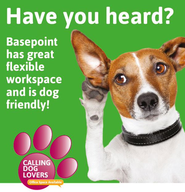 Basepoint_Chtam's tweet photo. Do you find it difficult to leave your dog at home every day? At Basepoint you don’t need to as we are #DogFriendly! Give us a call on 01634 816000 to find out about our availability. #DogsOfBasepoint #OfficeSpace https://t.co/UGLXc10oPJ