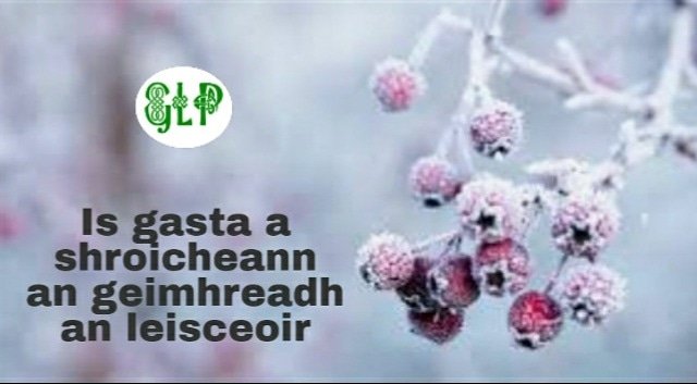 GaeilgeP's tweet photo. Is gasta a shroicheann an geimhreadh an leisceoir #geimhreadh #leisce #fuar #seanfhocal #gaeilge #gaeilgelepád #glp https://t.co/zZpHklxgBs