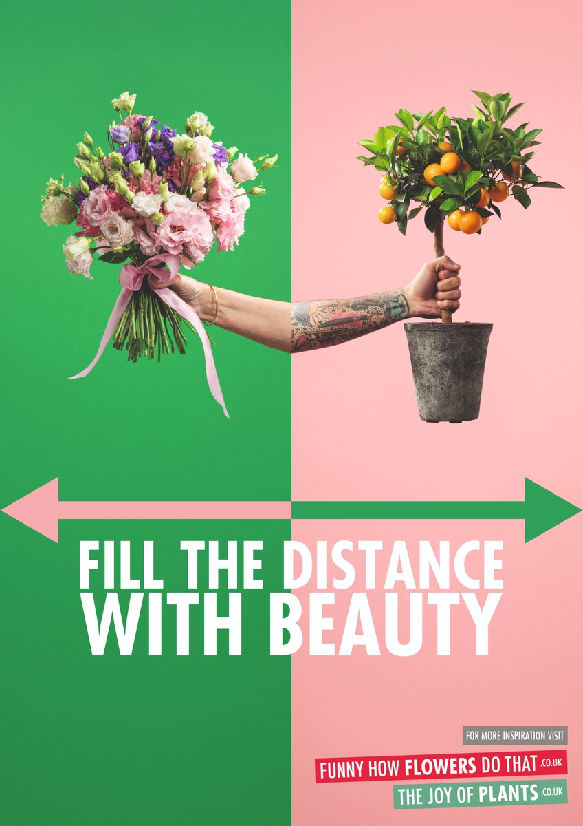 180Amsterdam's tweet photo. New work alert! Proud to be working with the Flower Council of Holland @bloemenbureau  on the 'Fill the distance with Beauty' campaign. #FillTheDistanceWithBeauty #thanksplants #weneedmoreflowers https://t.co/BV0YxGFqqz