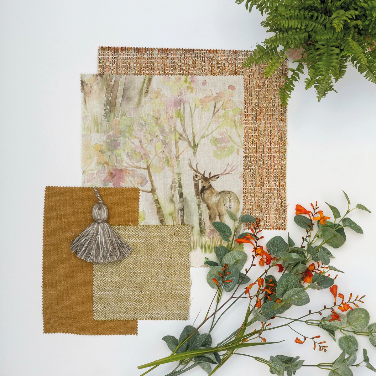 Voyage Maison tweet media