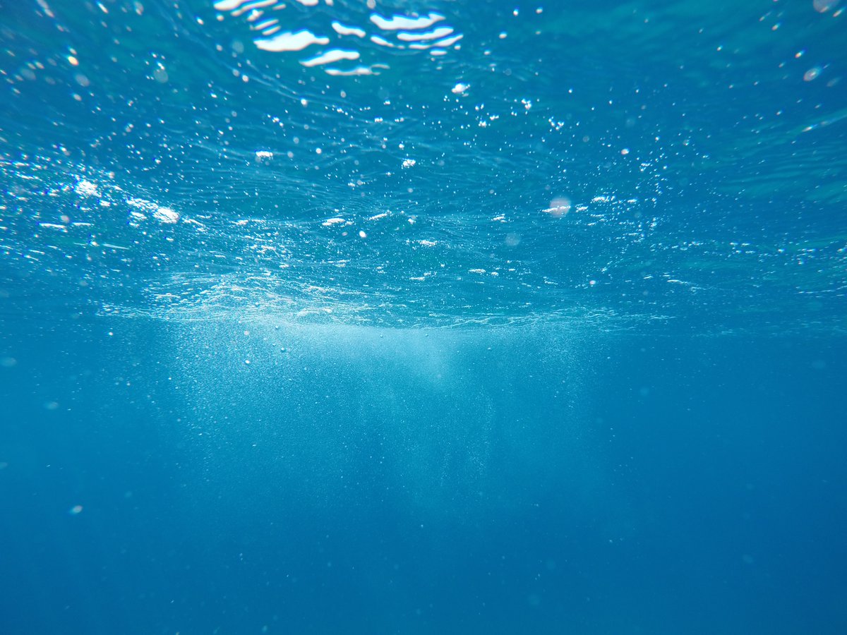 PlymouthMarine's tweet photo. #OAWeek2020 is here! There will be a heaps of #OceanAcidification news over the next few days so a great opportunity to get up-to-date and expand your knowledge of this incredibly important issue. #CO2 #ChangingOcean https://t.co/q0ZnJbFovu
