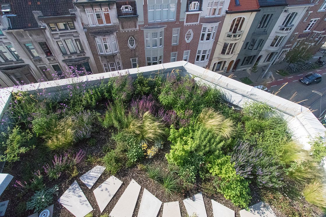 Via een paadje van speelse, ongelijke stapstenen worden de bewoners van dit huis tussen siergrassen en prairieplanten door naar hun #dakterras geleid. #groendak
canopy-greenroofs.be/blogPost/semi-…