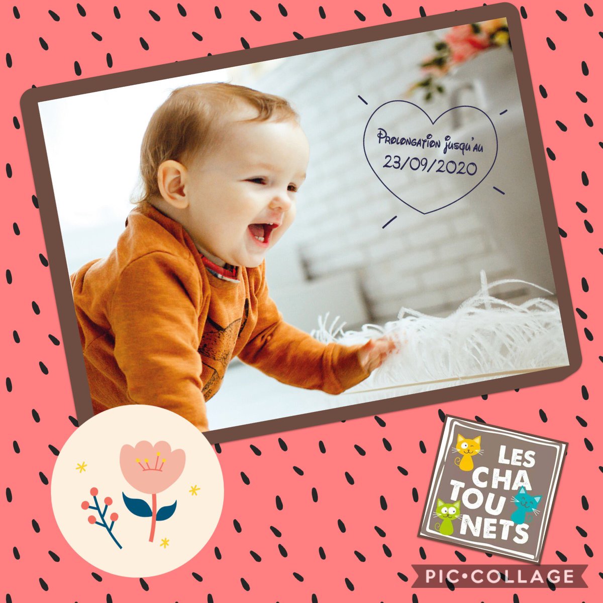 leschatounets's tweet photo. ** PROLONGATION ** parce qu on aime vous faire plaisir on joue les prolongations avec l’offre c est la rentrée, on se retrouve sur https://t.co/hnaPe0scUq #bebe #maman #papa #prolongation #pyjama #puericulture #layette #naissance #maternite #love #shopleschatounets #leschatounets https://t.co/AHcMw2R6H6