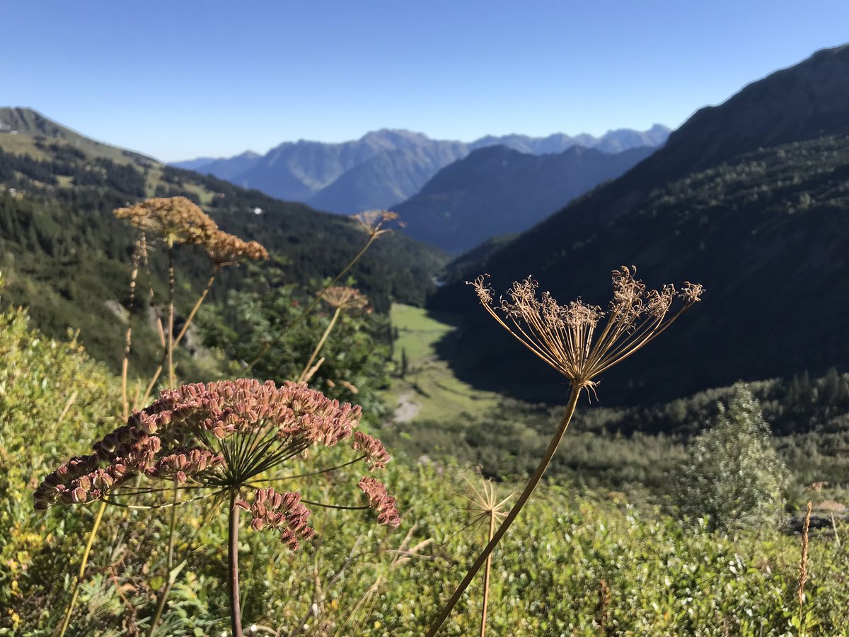 AppOostenrijk's tweet photo. #Kaiserwetter!! Wie ziet de hut en weet welke het is? #Kleinwalsertal @Alpenweerman https://t.co/FJakNcsGOD