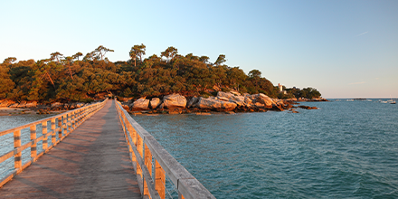 Odalys_Vacances's tweet photo. 🌅 Prolonger sa balade au Bois de la Chaise jusqu'à l'estacade de la Plage des Dames et prendre le temps d'admirer le coucher de soleil. Ça vous dit ?
📍 @Ile2Noirmoutier
👉 https://t.co/F5jpWQQkIe
#OdalysVacances #NoirmoutierEnIle #Vacances #PlageDesDames https://t.co/SoKaSG0NE8