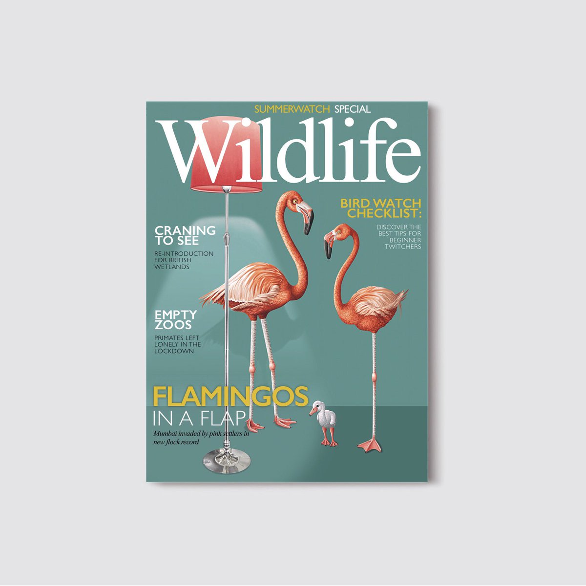 RachelSawyerr's tweet photo. Illustrated series on the topic of habitat encroachment and urbanisation, which I have mocked up as @WildlifeMag 

#TuesdayMorning #illustration #editorial #wildlife #environment https://t.co/H3oLWbCWfB