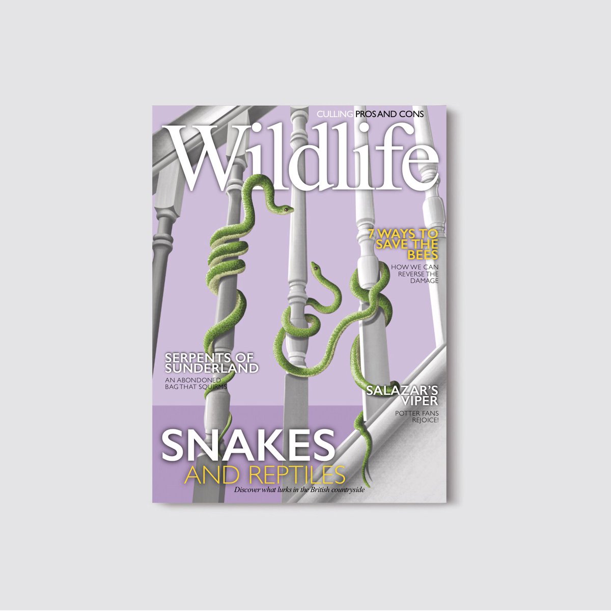 RachelSawyerr's tweet photo. Illustrated series on the topic of habitat encroachment and urbanisation, which I have mocked up as @WildlifeMag 

#TuesdayMorning #illustration #editorial #wildlife #environment https://t.co/H3oLWbCWfB