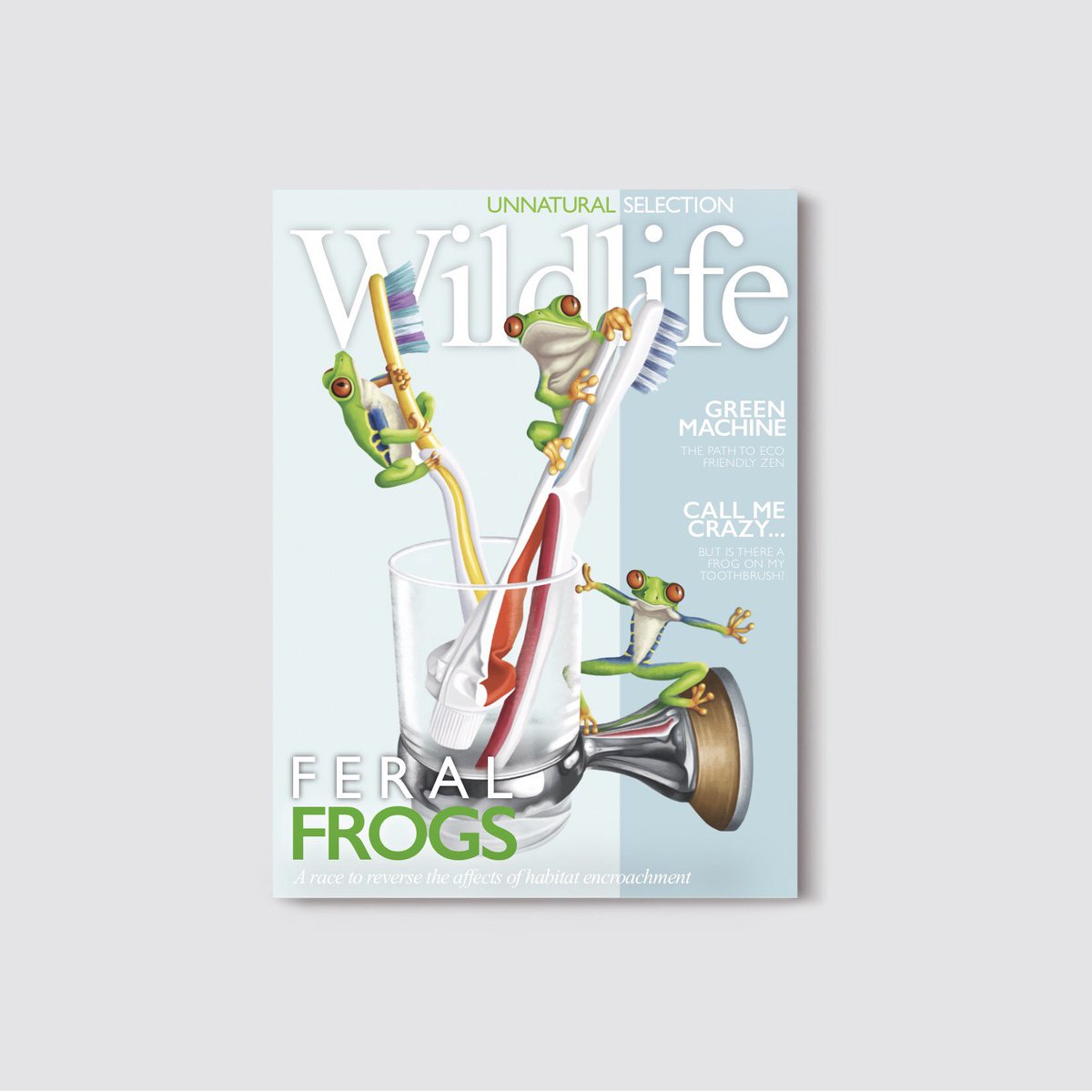 RachelSawyerr's tweet photo. Illustrated series on the topic of habitat encroachment and urbanisation, which I have mocked up as @WildlifeMag 

#TuesdayMorning #illustration #editorial #wildlife #environment https://t.co/H3oLWbCWfB