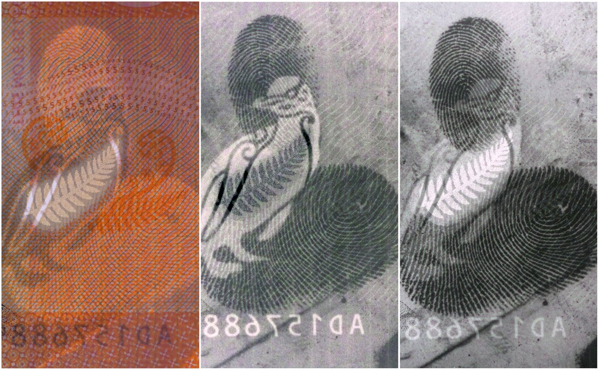 West_Technology's tweet photo. Latent print developed on New Zealand banknote, using VMD copper process and imaged using Reflective IR .

#vmd #forensics #csi #latentprint #fingerprints https://t.co/FjYFLtzXgf