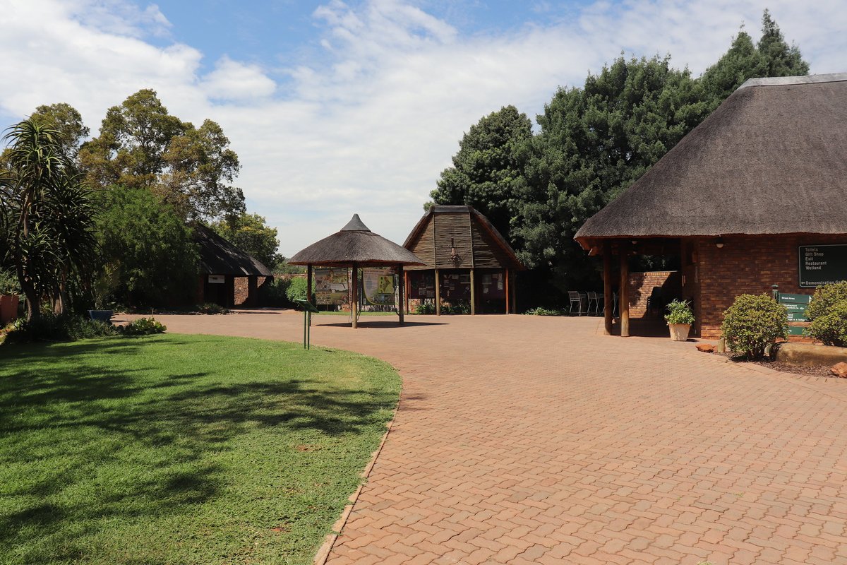 Pretoria National Botanical Garden tweet media