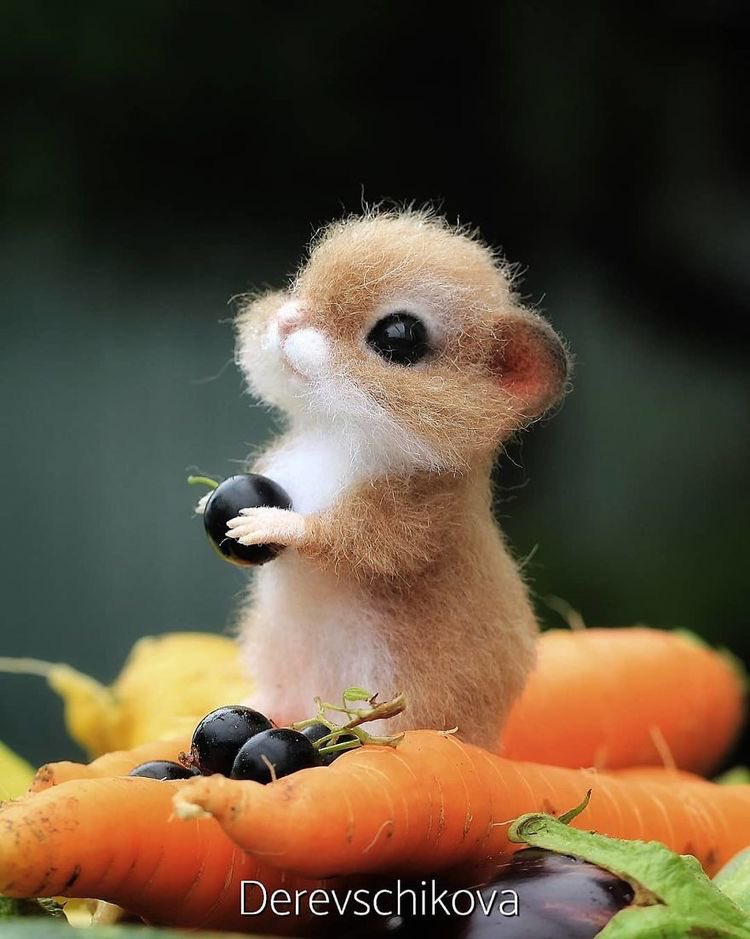 Adding cute animal pics so it diverts your attention and calms you down