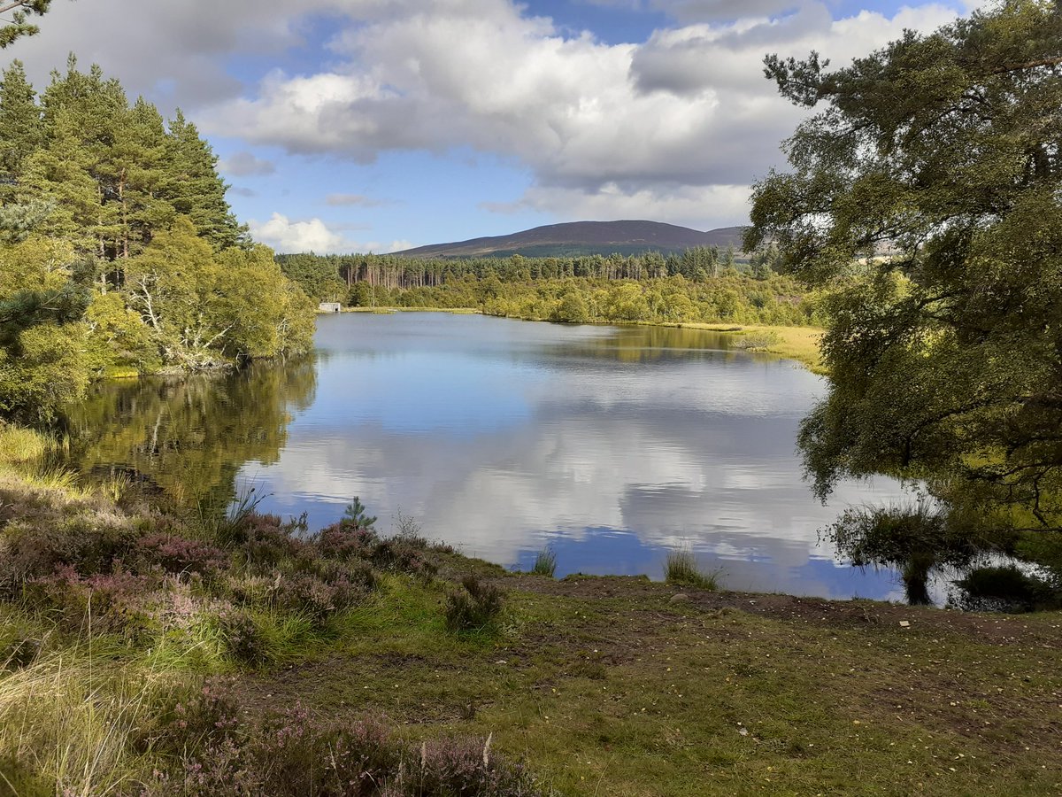 _The_WildSide_'s tweet photo. Visited a local nature reserve over the weekend. Lovely to visit the lesser known places around Inverness. Any recommendations? #wildside #nature #local #highlands #scotland https://t.co/119n7NC9wQ
