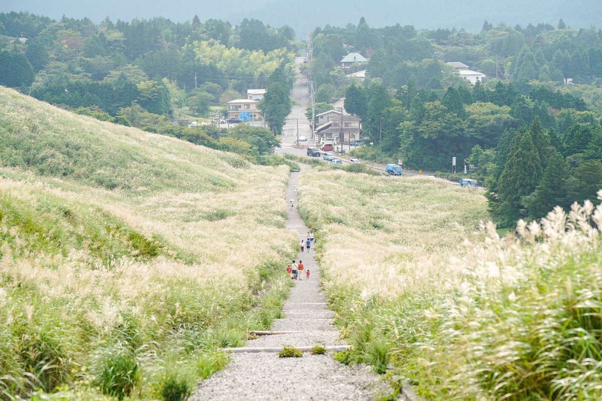 yuki__sp's tweet photo. すぐそこまで秋が来てる🌾 https://t.co/76TLMJaBJX