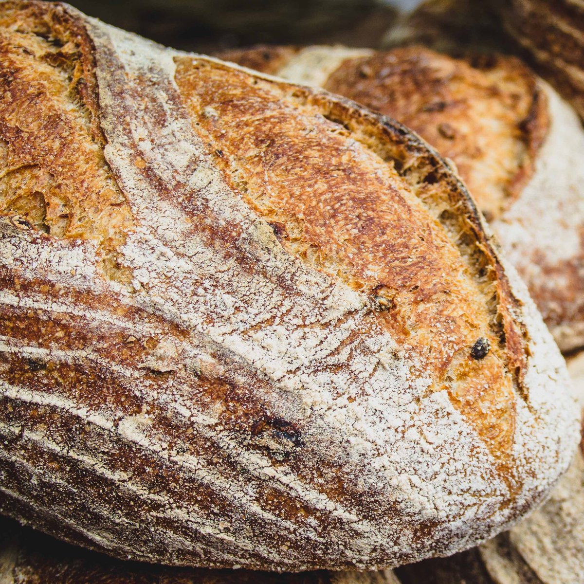 LeedsBreadCoop's tweet photo. Close up of our beautiful Malthouse Sourdough - a crusty load with a soft, open and chewy crumb, a great all rounder! 
Find it on our Online shop now to pre-order for collection or delivery

https://t.co/q9afbsR8zq 

#LeedsBreadCoop #SourdoughSeptember #SupportYourLocalBaker https://t.co/yaEtCZzimP