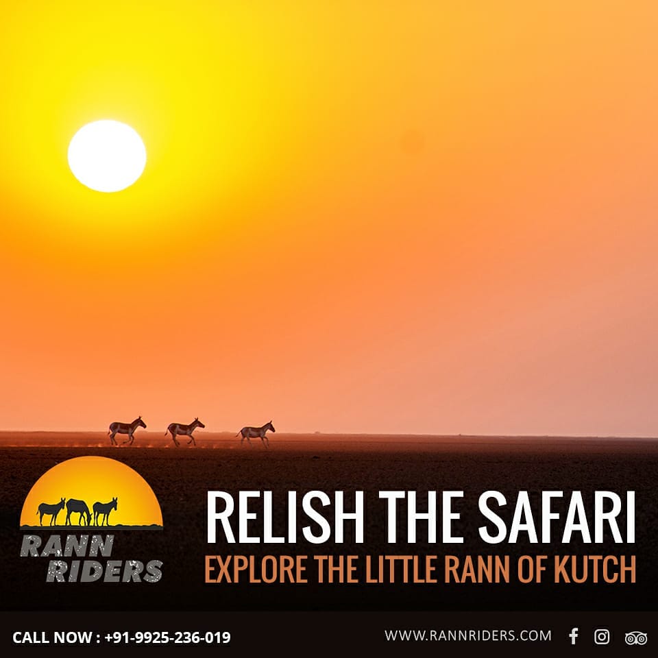 Rann Riders tweet media