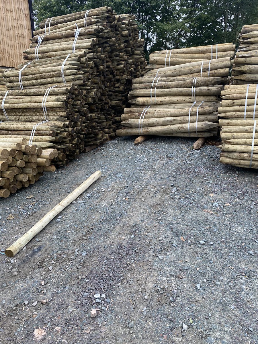 TimberGrange tweet picture