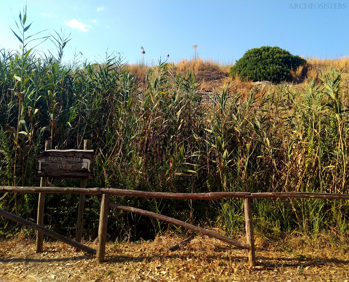 Come diceva Guy de Maupassant la nostra terra è un museo di architettura ma, purtroppo, molti siti sono abbandonati.
Dopo l’ennesimo luogo trovato in pessime condizioni abbiamo inaugurato la rubrica De Gradus Siciliae.
Iniziamo con il Teatro di Eloro! archeosisters.blogspot.com/2020/08/de-gra…