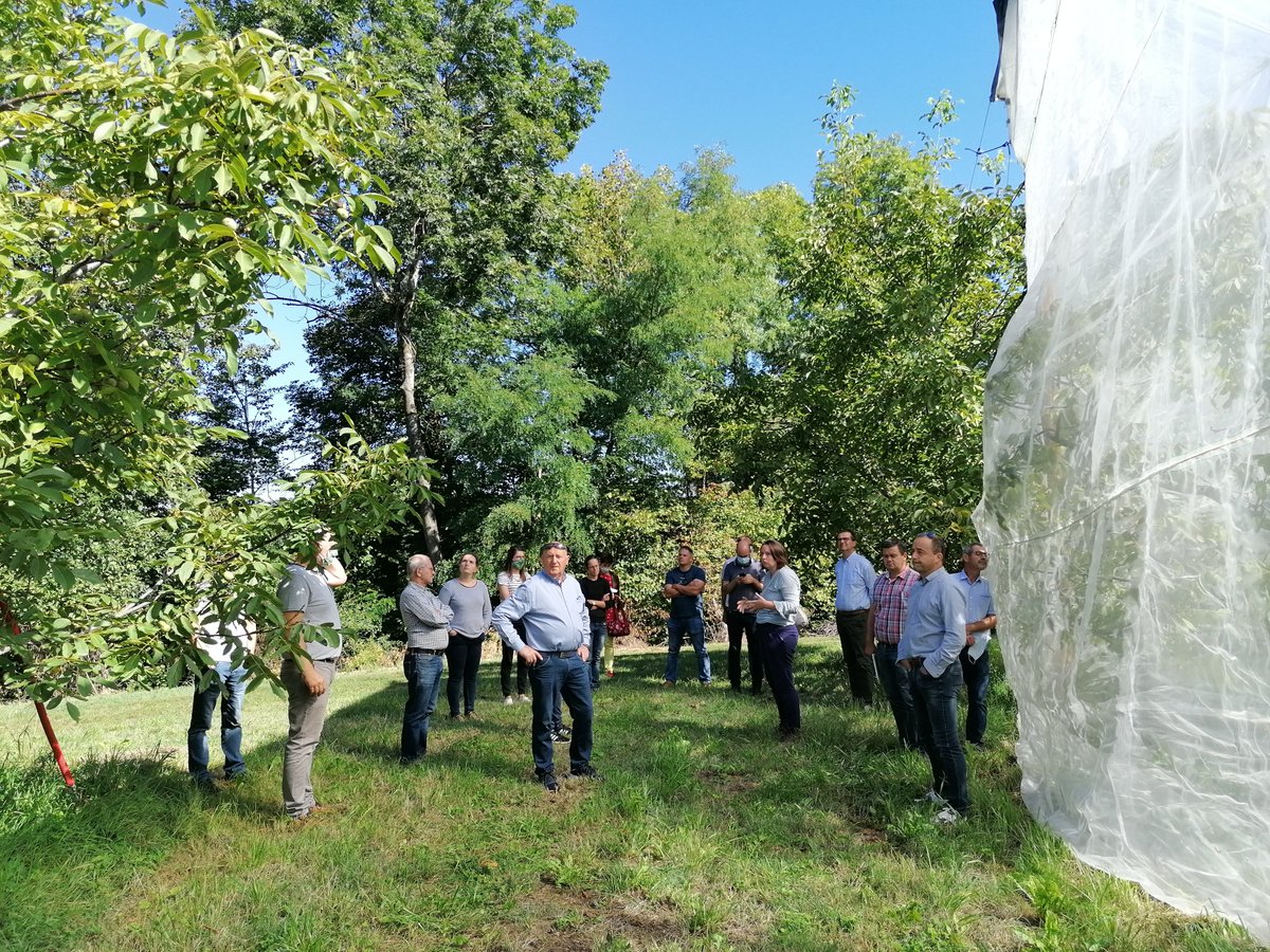 IRFEL_France's tweet photo. Suite à notre CA, le 3 septembre, la #Senura, station d'#expérimentation spécialiste de la #noix en région AURA nous a fait découvrir son essai Dephy #Ecophyto de #noyers ss bâches #insectproof pour réduire l'utilisation des produits #phyto de 50% voire de 100%. #innovant https://t.co/PCpdXBpVR0
