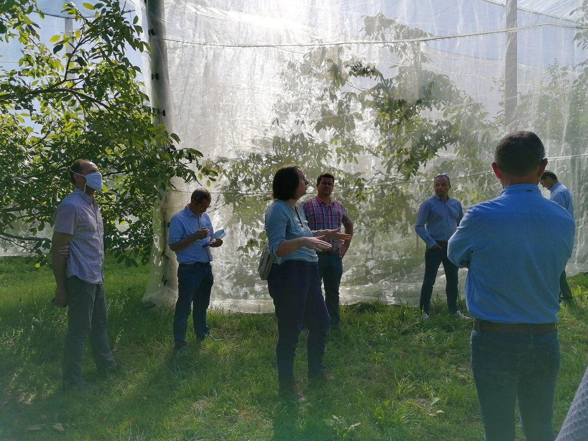 IRFEL_France's tweet photo. Suite à notre CA, le 3 septembre, la #Senura, station d'#expérimentation spécialiste de la #noix en région AURA nous a fait découvrir son essai Dephy #Ecophyto de #noyers ss bâches #insectproof pour réduire l'utilisation des produits #phyto de 50% voire de 100%. #innovant https://t.co/PCpdXBpVR0