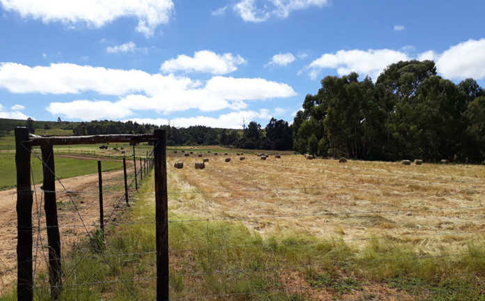 King Lemor tweet media