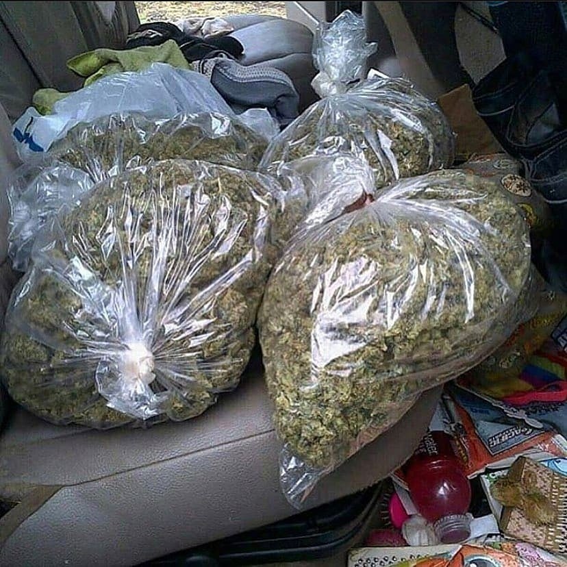 Weedfr18's tweet photo. Livraison rapide et discret
Snap:bill_plug2020 watsap+33644686819 

 #weed #beuh #Paris #Nantes #Toulouse #Bordeaux #Nice #Marseille #Rennes #Lorient #Strasbourg #Lille #Dijon #Avignon #SaintNazaire #Auxerre #Monaco #Rennes #clermontferrand #argenteuil #Lyon #annecy_live #Nice06 https://t.co/Gpn5iqrtC4